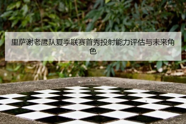 里萨谢老鹰队夏季联赛首秀投射能力评估与未来角色