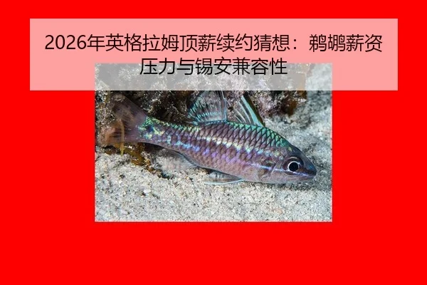 nian-ying-ge-la-mu-ding-xin-xu-yue-cai-xiang-ti-hu-xin-zi-ya-li-yu-xi-an-jian-rong-xing-2-121.jpg